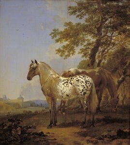 Twee paarden in een landschap