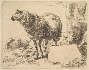 uit De Set van Schapen door Nicolaes Berchem