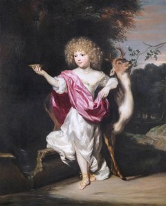 Portret van een meisje met een hert
