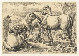 Drie paarden Dieren (serie titel) door Nicolaes Pietersz Berchem
