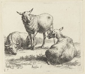 Drie schapen door Nicolaes Pietersz Berchem