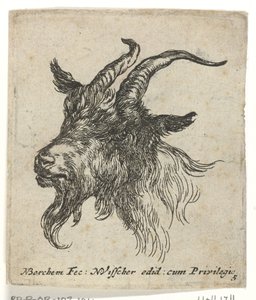 Kop van een geit door Nicolaes Pietersz Berchem