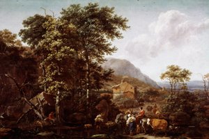 Landschap en dieren