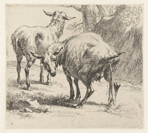 Pissende ooi en een schaap door Nicolaes Pietersz Berchem