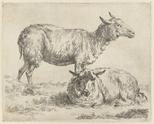 Staand en liggend schaap door Nicolaes Pietersz Berchem