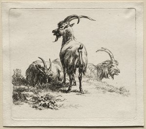 Drie Geiten door Nicolaes Pietersz. Berchem
