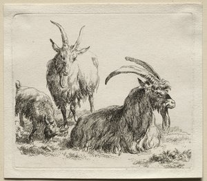 Drie geiten door Nicolaes Pietersz. Berchem