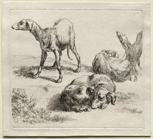 Drie Jachthonden door Nicolaes Pietersz. Berchem
