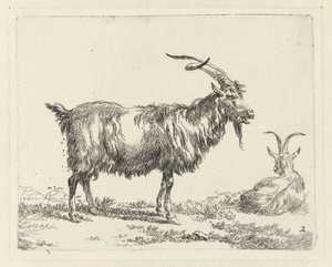 Twee geiten door Nicolaes Pietersz Berchem