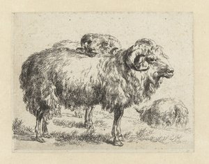 Twee rammen en een schaap door Nicolaes Pietersz Berchem