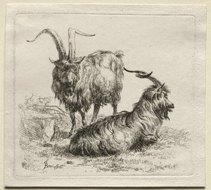Twee Geiten door Nicolaes Pietersz. Berchem