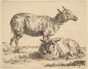 uit De Set van Schapen door Nicolaes Pietersz. Berchem