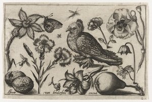Bloemen, een peer en een duif