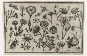 Bloemen, een vlieg en een slak