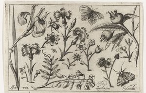Bloemen en vlinders