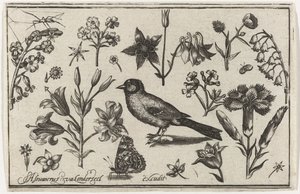 Bloemen, vlinder en een vogel door Nicolaes de Bruyn (possibly)