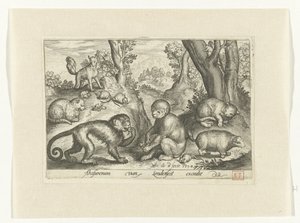 Apen, katten en muizen door Nicolaes de Bruyn