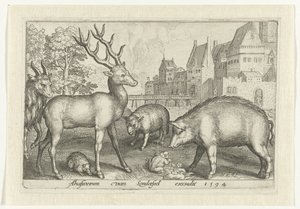 Hert, egel, schaap, kikker en varken door Nicolaes de Bruyn