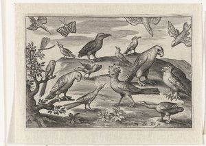 Hop en andere vogels Vogels en insecten (serie titel) door Nicolaes de Bruyn
