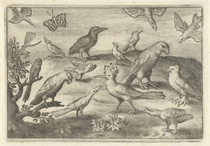 Hop en andere vogels door Nicolaes de Bruyn