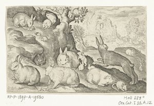 Konijnen, eekhoorn, cavia en muis door Nicolaes de Bruyn