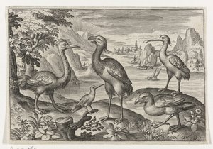 Kroonkraanvogel tussen twee struisvogels door Nicolaes de Bruyn