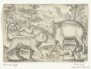 Luipaard, wild zwijn en honden