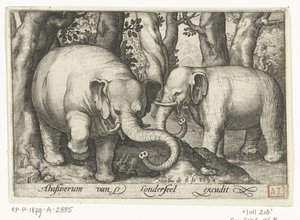 Twee olifanten (Animalivm qvadrvpedvm, Dieren in landschappen)