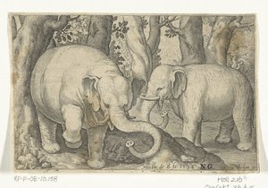 Twee olifanten