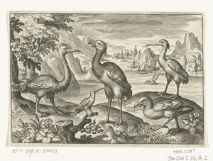 Vijf vogels waaronder lepelaar door Nicolaes de Bruyn