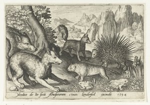 Wild zwijn, vossen, bever, stekelvarken en kikkers