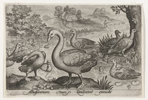 Zwaan en ganzen en eenden bij water door Nicolaes de Bruyn