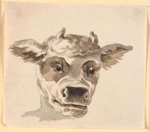 Hoofd van de Minotaurus