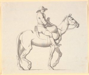 De schout te paard verzamelt de dode katten van de straten