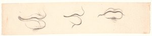 Drie studies van monden