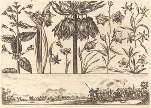 Bloemafdruk nr.10