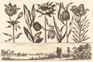 Bloemenprint nr. 11