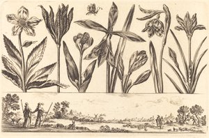 Bloemenprint nr. 4