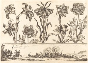 Bloemenafdruk nr. 8