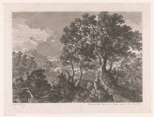 Heuvellandschap met bomen