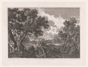 Landschap met bomen