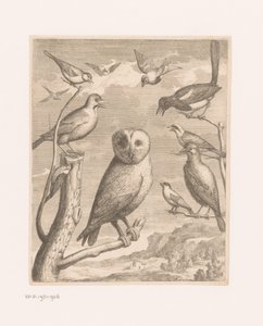 Uil en andere vogels Vogels uit de dierentuin van Versailles