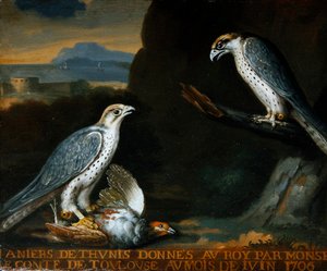 Twee giervalken, een met een patrijs