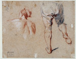 Studie van anatomie door Nicolas Vleughels