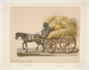 De Oude Stro Man door Nicolino Calyo