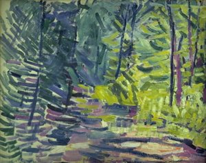 Boslandschap