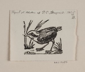Een vogeljong