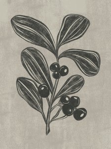 Botanische schets van een bes door Nikita Jariwala