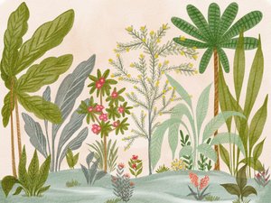 Weelderige tropische tuin