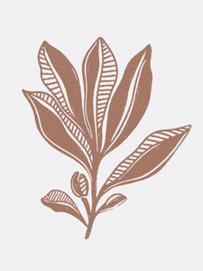 Biologische botanische schets door Nikita Jariwala